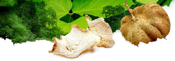 Pueraria mirifica � white kwao krua �  It has been well known to local people for many years due to its distinguished properties and efficacy as well as regarded as the national identity of traditional medicine.